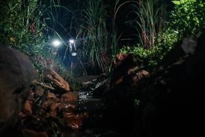 BIB: 
                            <button type="button" onclick="openModal(26412808)" class="btn btn-primary btn-sm float-right btn-popup" data-toggle="modal" data-target=".modal-high-quality">
                        <i class="fas fa-shopping-cart"></i> Add to Cart
                    </button>
                                            <button type="button" onclick="isThisMe(26412808, true)" class="btn btn-success btn-sm float-right btn-popup btn-isme hidden" data-toggle="tooltip" data-placement="bottom" title="นี่คือรูปของคุณใช่ไหม คลิกที่นี่เพื่อเอาเข้าอัลบั้ม">
                        <i class="fas fa-plus"></i> Add to album
                    </button>
                    <button type="button" onclick="isThisMe(26412808, false)" class="btn btn-warning btn-sm float-right btn-popup btn-isnotme hidden">
                        <i class="fas fa-ban"></i> Remove from album
                    </button>